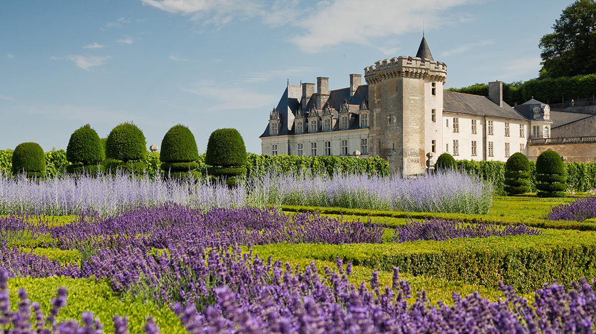 France Guidebooks