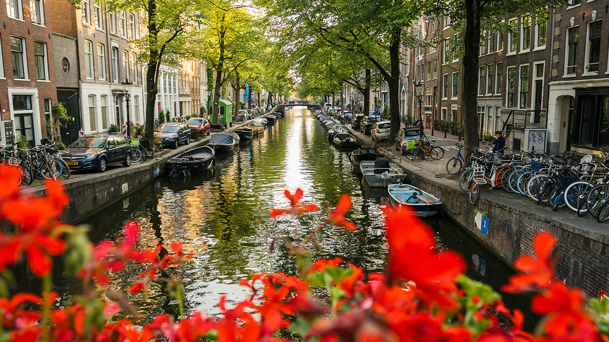 Netherlands & Belgium Guidebooks
