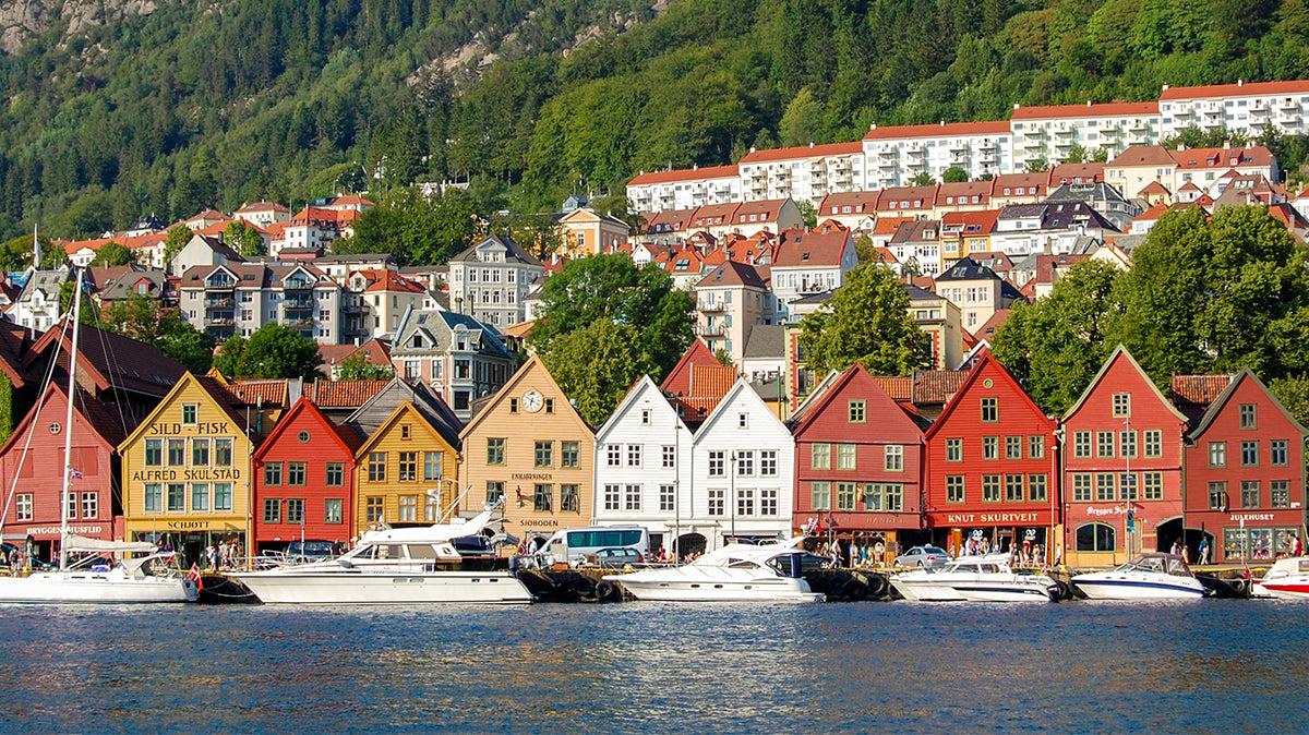 Scandinavia & Iceland Guidebooks