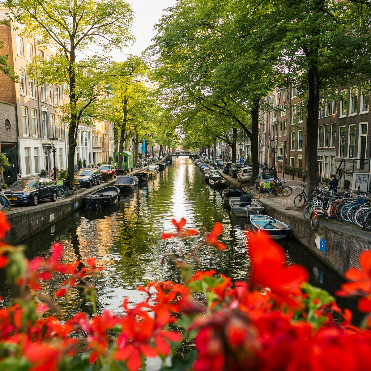 Netherlands & Belgium Guidebooks